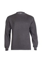 Charcoal grey crewneck sweatshirt in a regular fit with long sleeves and ribbed cuffs and hem.