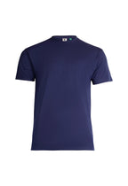 GR31-Navy