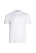 GR31-White
